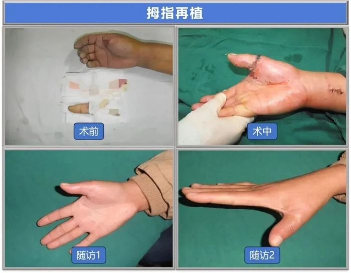 1798552454ca2ae5b9bcd7d3e46faecc