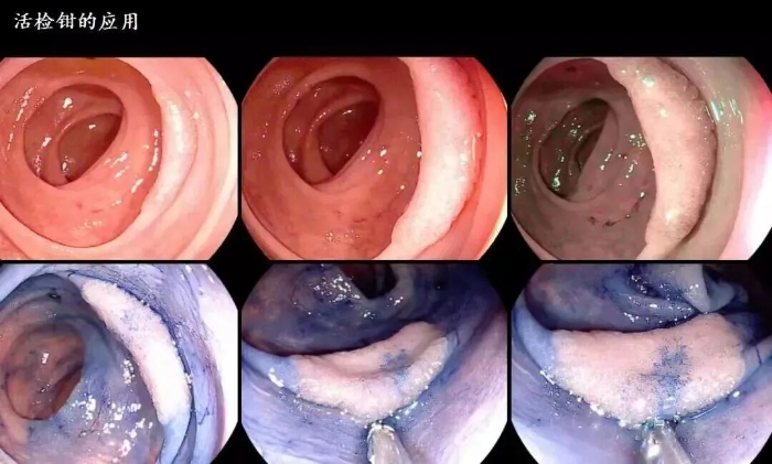 ba7e6a9840faf934da2590c3335291ac