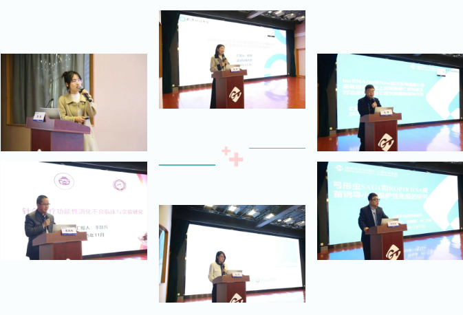 30198a261896c6d45269f8a150e3ac5e