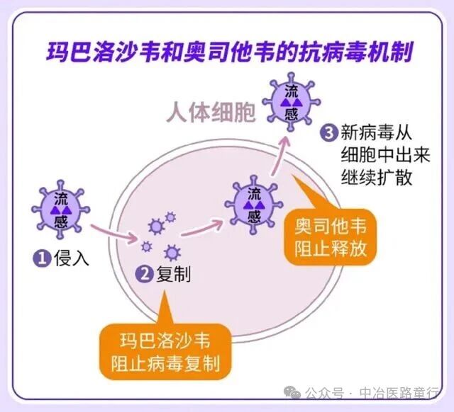 b4c7cb89819caae8acc2073623d23dd0