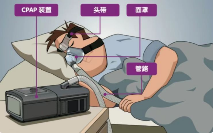 fe66db231c0c9182b4961168400febbe