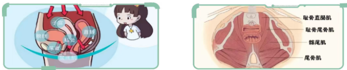 722ff2217b7d763bbf42d13f4c7aab69