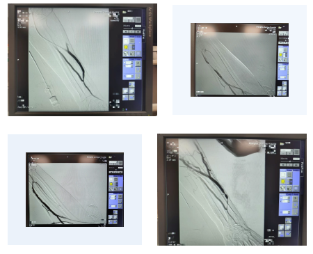 dab556461c89d0342e017ba1d8d13073