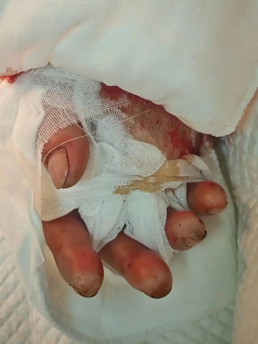 813cbb0f4b4bc5ca88e5221e53e6f328